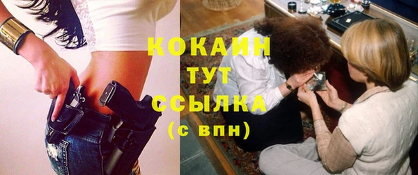 ПСИЛОЦИБИНОВЫЕ ГРИБЫ Няндома