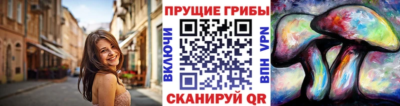 где можно купить Шумиха Псилоцибиновые грибы Magic Shrooms